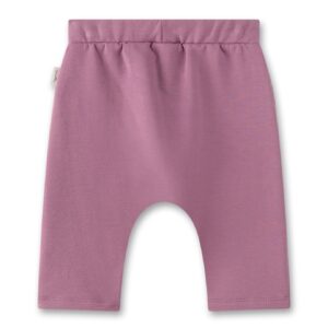 Hose 11616 38247 B 1920x1920