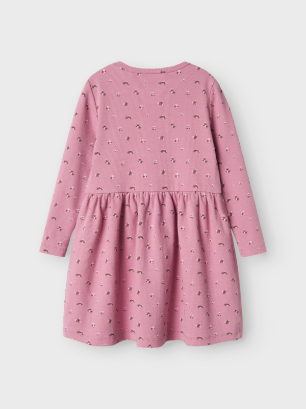 13237749 4652462 Back