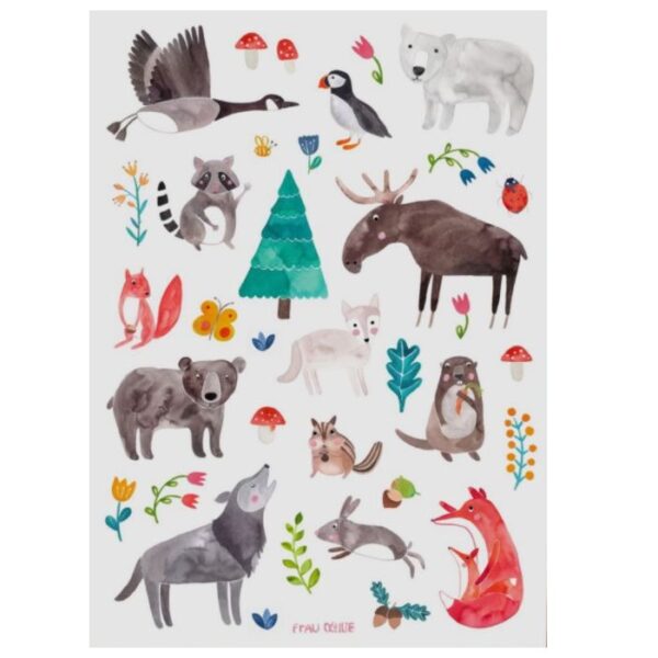 Frau Ottilie Tiere Des Waldes Und Des Nordens