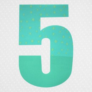 5 Mint Turkis 600x600