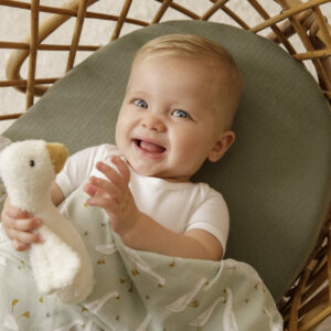 Ld8501 Squeaker Toy Goose (6)