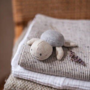 7199 Schildkroete Grau