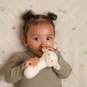 0008223 Quitscher Schaf Little Farm 550