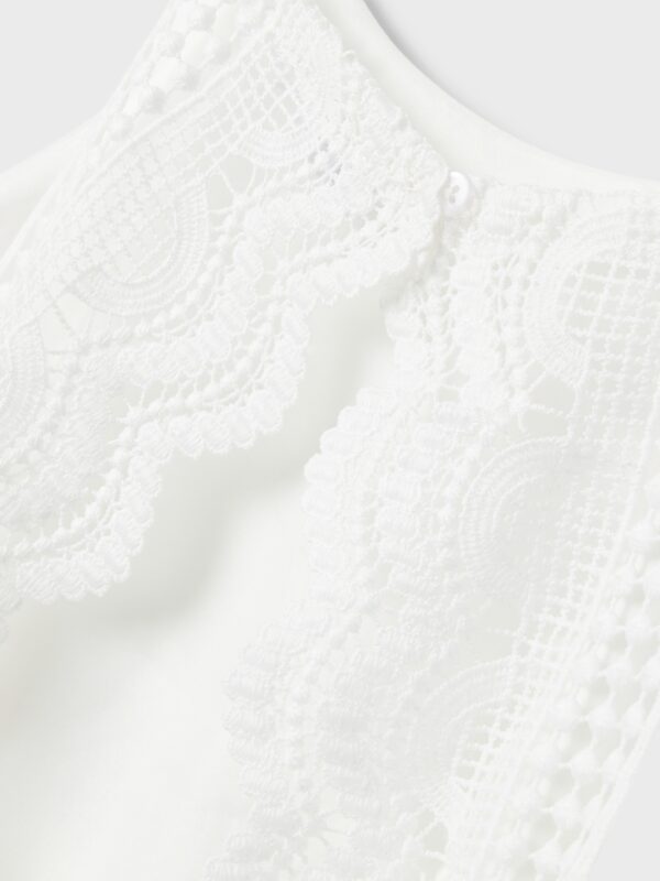 Name It Noos2024 4436452 13227423 2